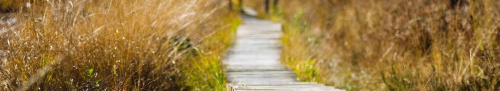 marais cotentin normandie