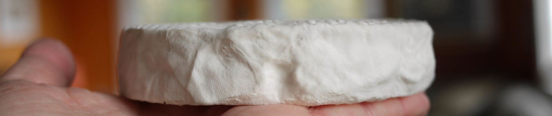 fromages de normandie camembert en avant rebecca siegel