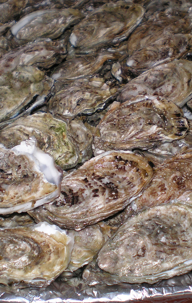 oysters gouville