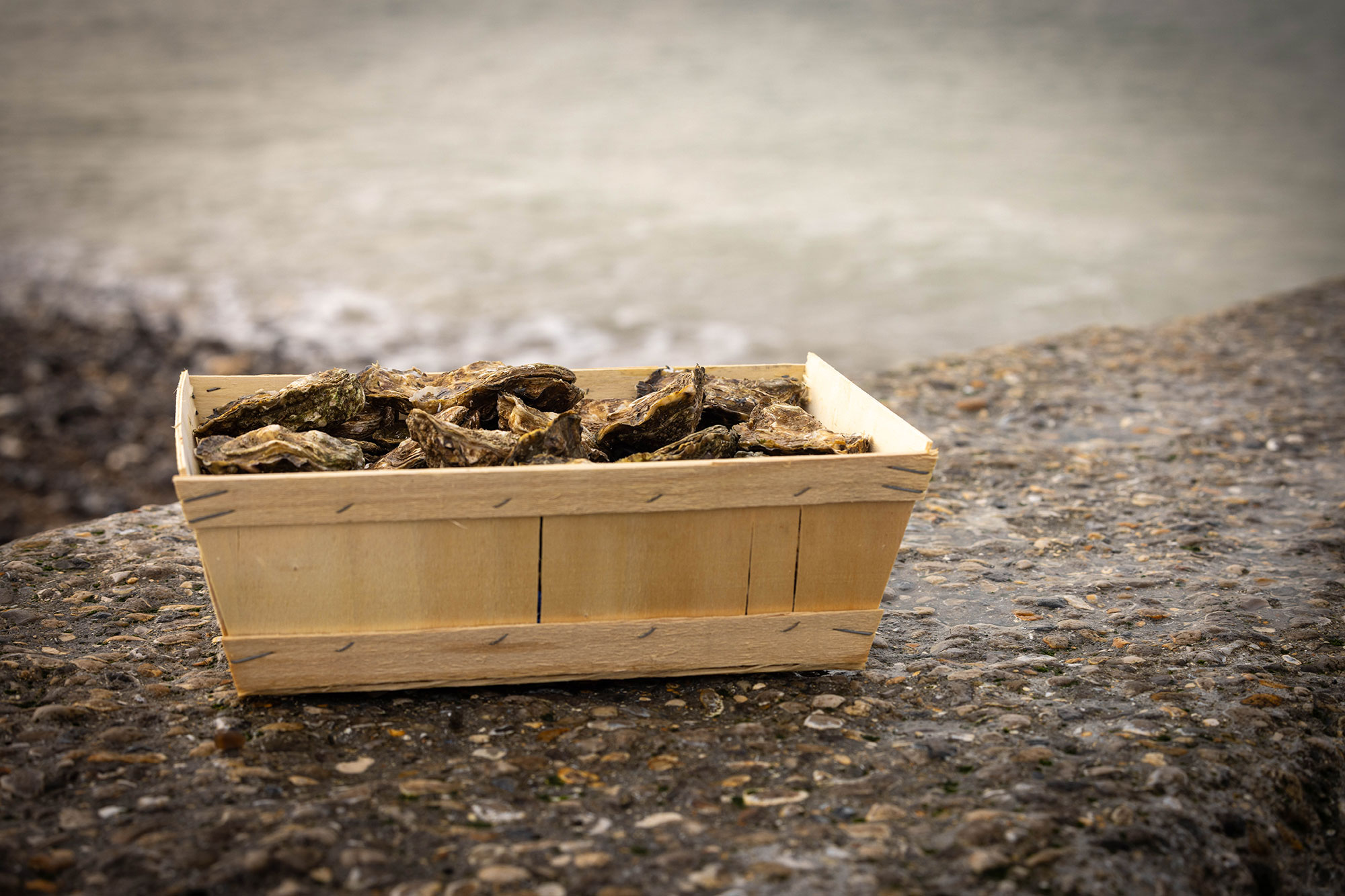 parc huitres gouville