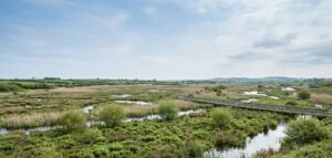 Les balades à faire autour de la réserve