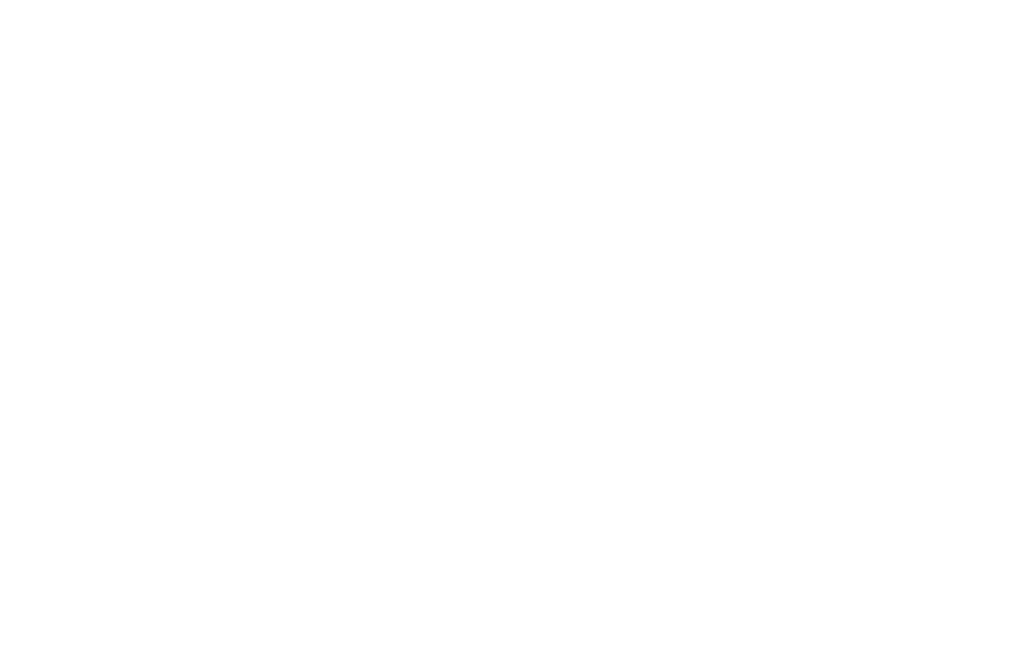 logo belle etoile blanc