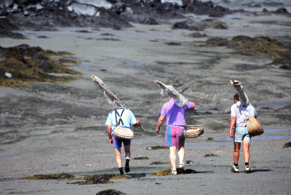 peche-a-pied-Gouville-Sur-Mer